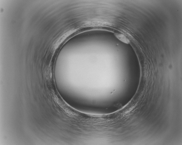 X0000057060885200509231529