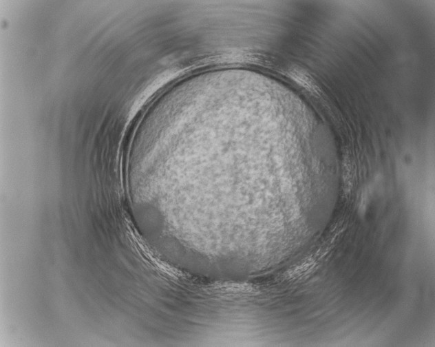 X0000057060886200509231529