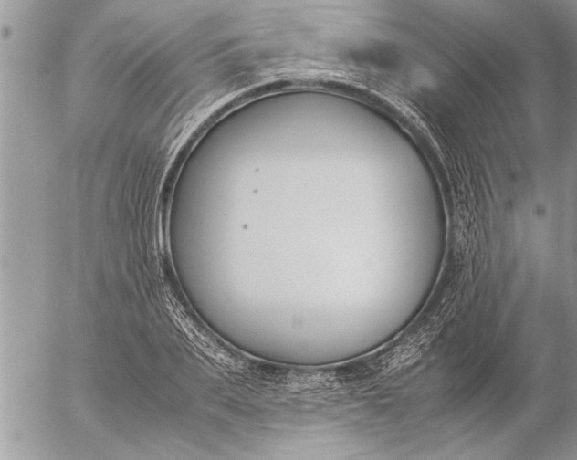 X0000057060887200509231529