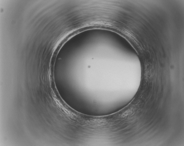 X0000057060888200509231529