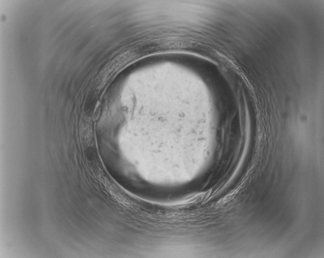 X0000057060889200509231529