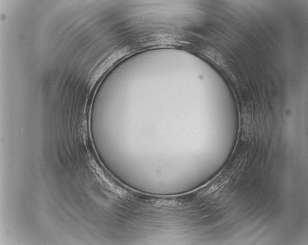 X0000057060890200509231529