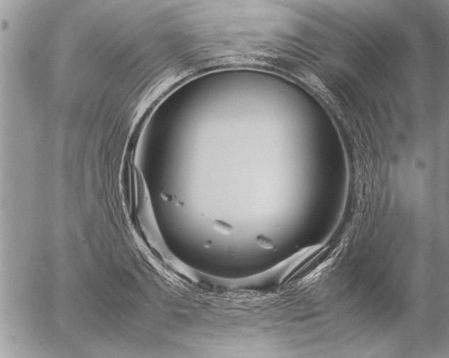 X0000057060893200509231529