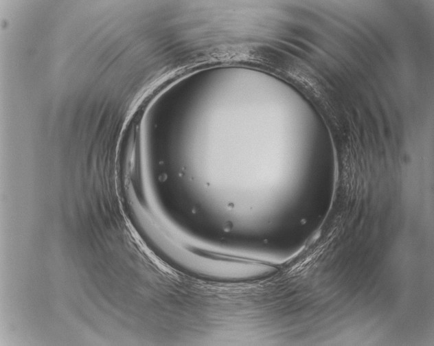 X0000057060894200509231529