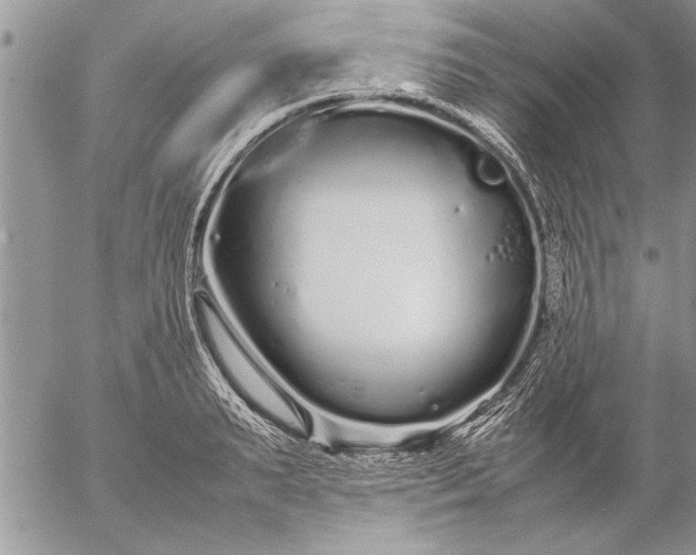 X0000057060895200509231529