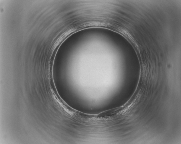 X0000057060898200509231529