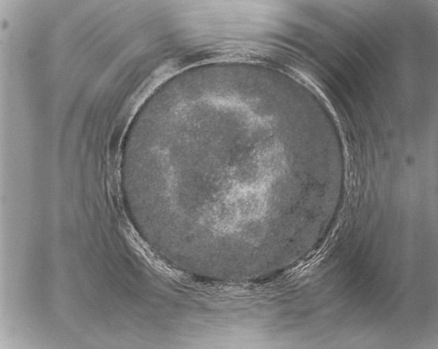 X0000057060899200509231529