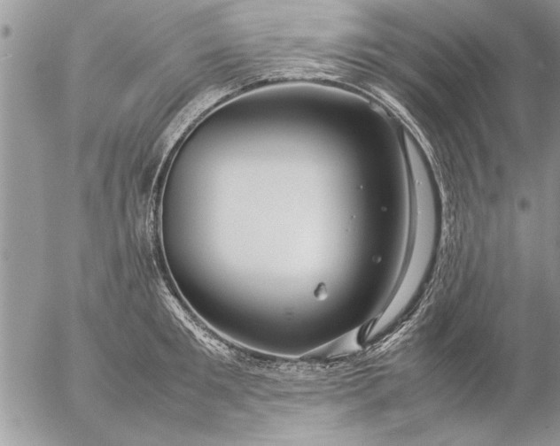 X0000057060901200509231529