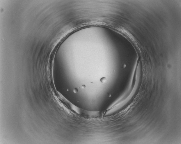 X0000057060902200509231529