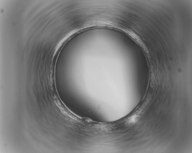 X0000057060904200509231529