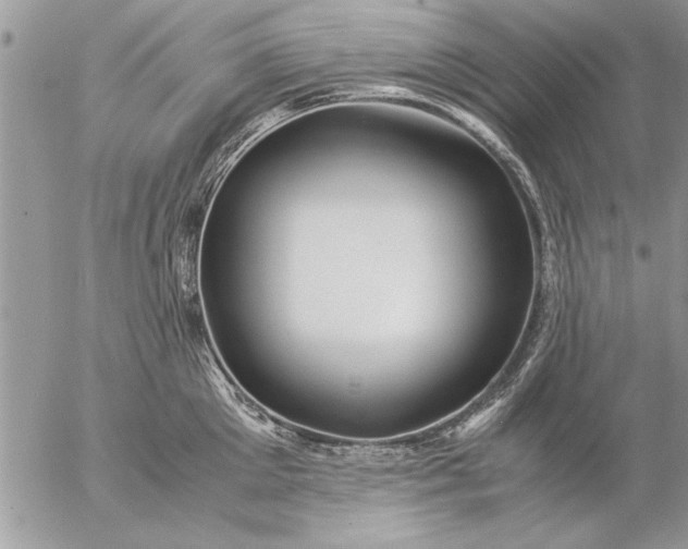 X0000057060905200509231529