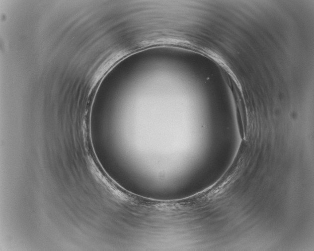 X0000057060906200509231529