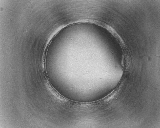 X0000057060908200509231529