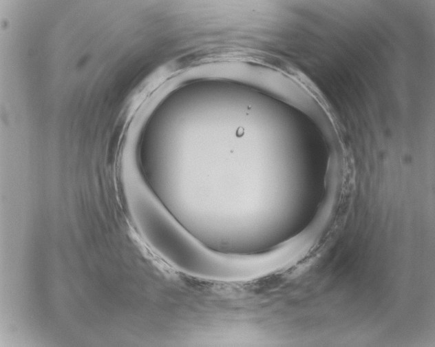 X0000057060909200509231529