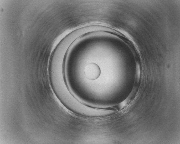 X0000057060910200509231529