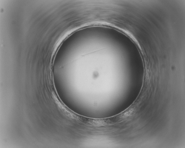 X0000057060911200509231529