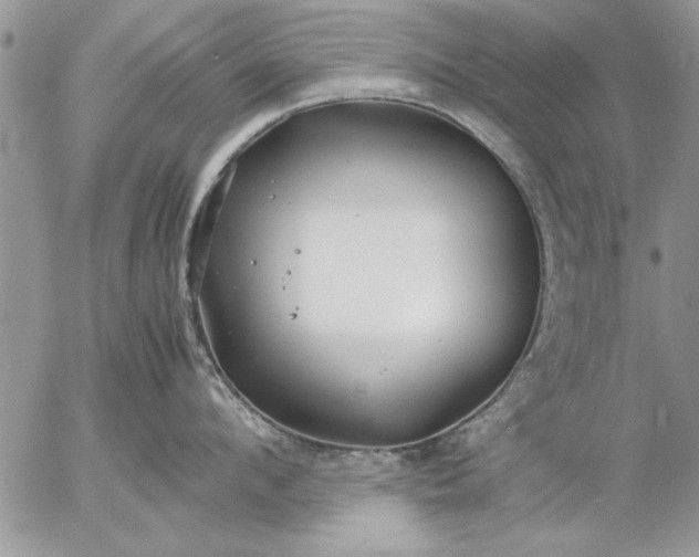 X0000057060912200509231529