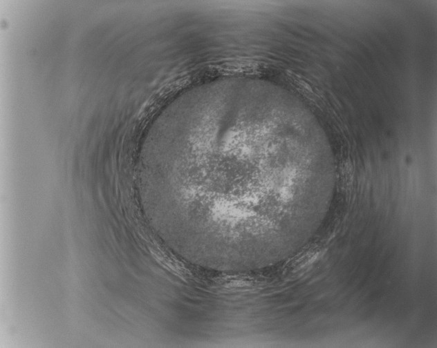 X0000057060913200509231528