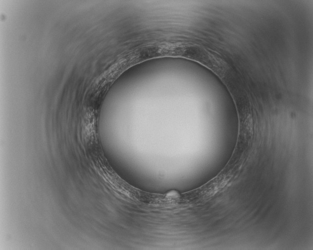 X0000057060914200509231528