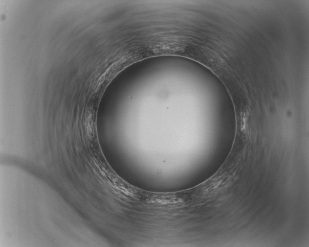 X0000057060915200509231528