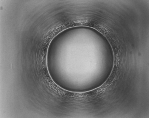 X0000057060917200509231528