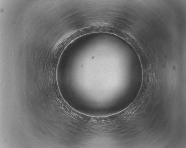 X0000057060919200509231528