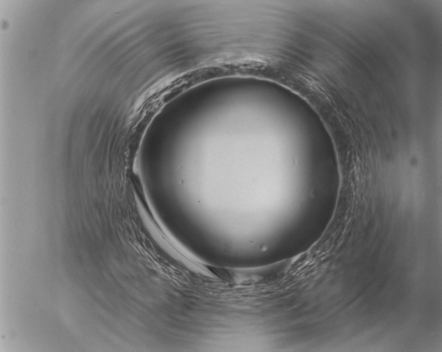 X0000057060920200509231528