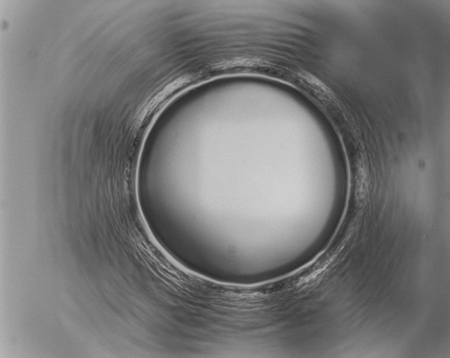 X0000057060921200509231528