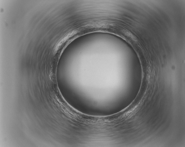 X0000057060922200509231528