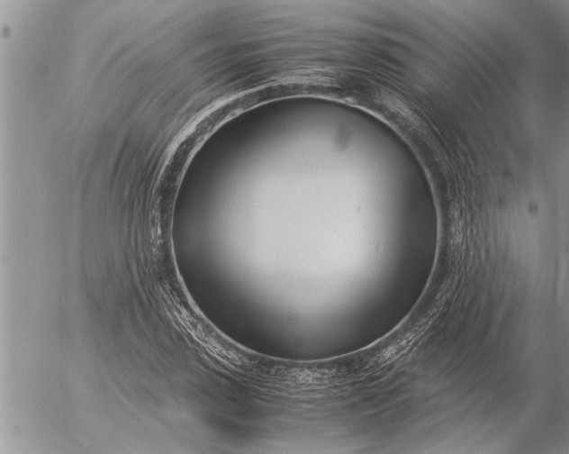 X0000057060923200509231528