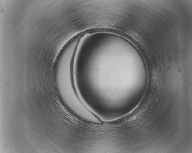 X0000057060926200509231528