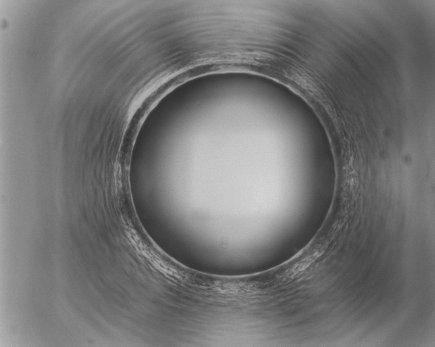 X0000057060928200509231528