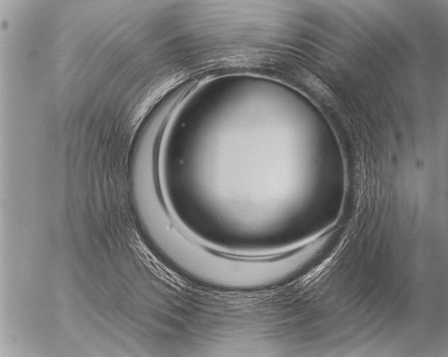 X0000057060930200509231528