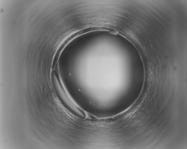 X0000057060932200509231528