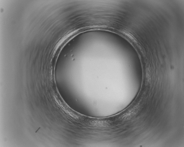 X0000057060933200509231528