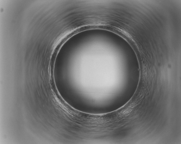 X0000057060935200509231528