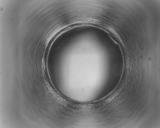 X0000057060936200509231528