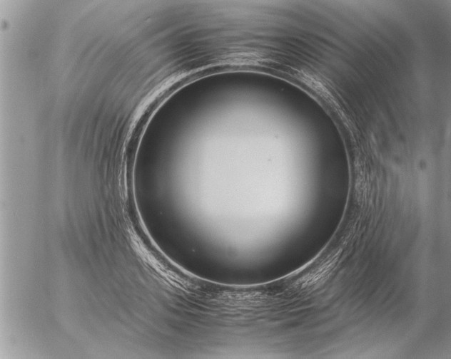 X0000057060939200509231528