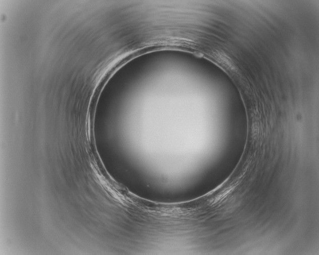 X0000057060940200509231528