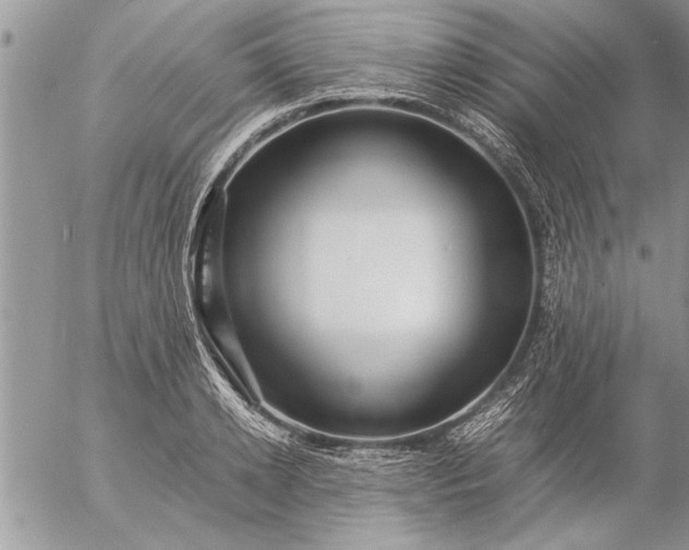 X0000057060942200509231528