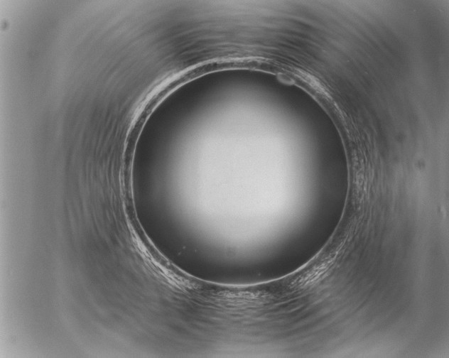 X0000057060943200509231528