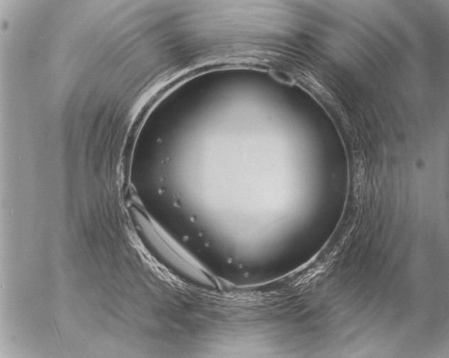 X0000057060944200509231528