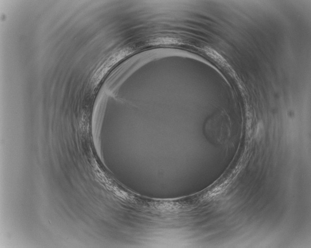 X0000057060945200509231528