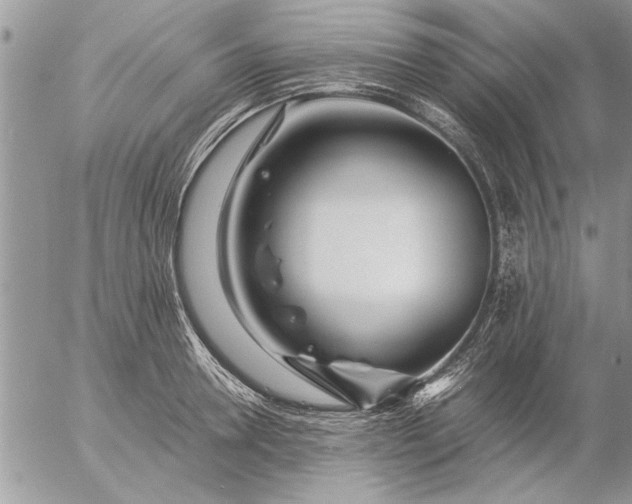 X0000057060946200509231528