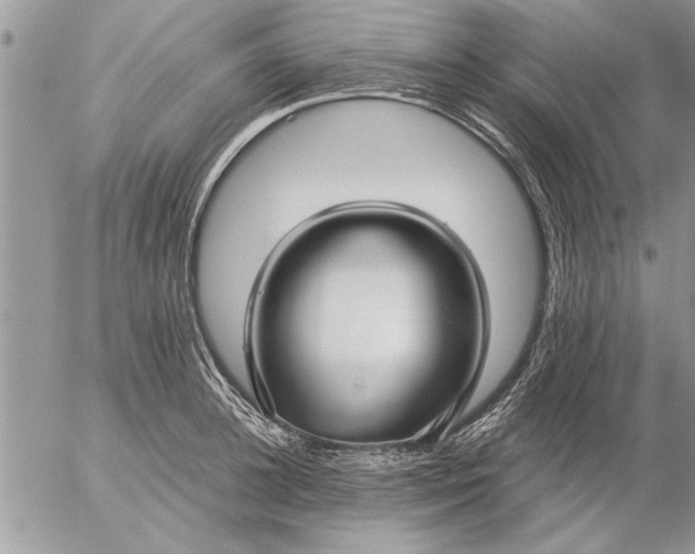 X0000057060948200509231528