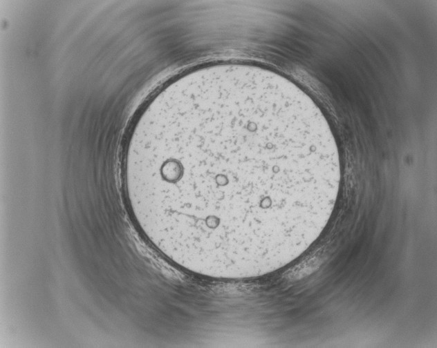 X0000057060950200509231528