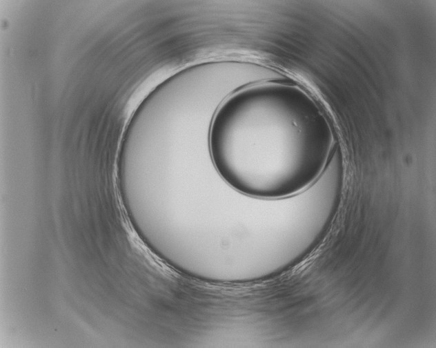 X0000057060952200509231529