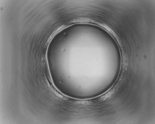 X0000057060953200509231529