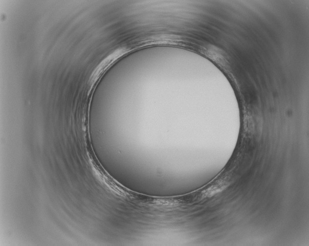 X0000057060954200509231529