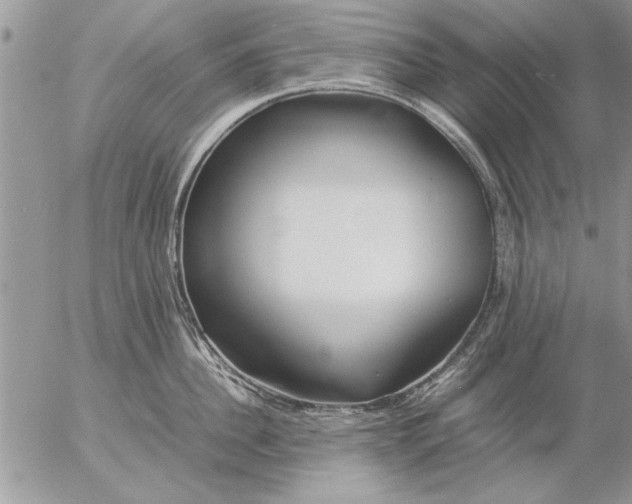 X0000057060956200509231529